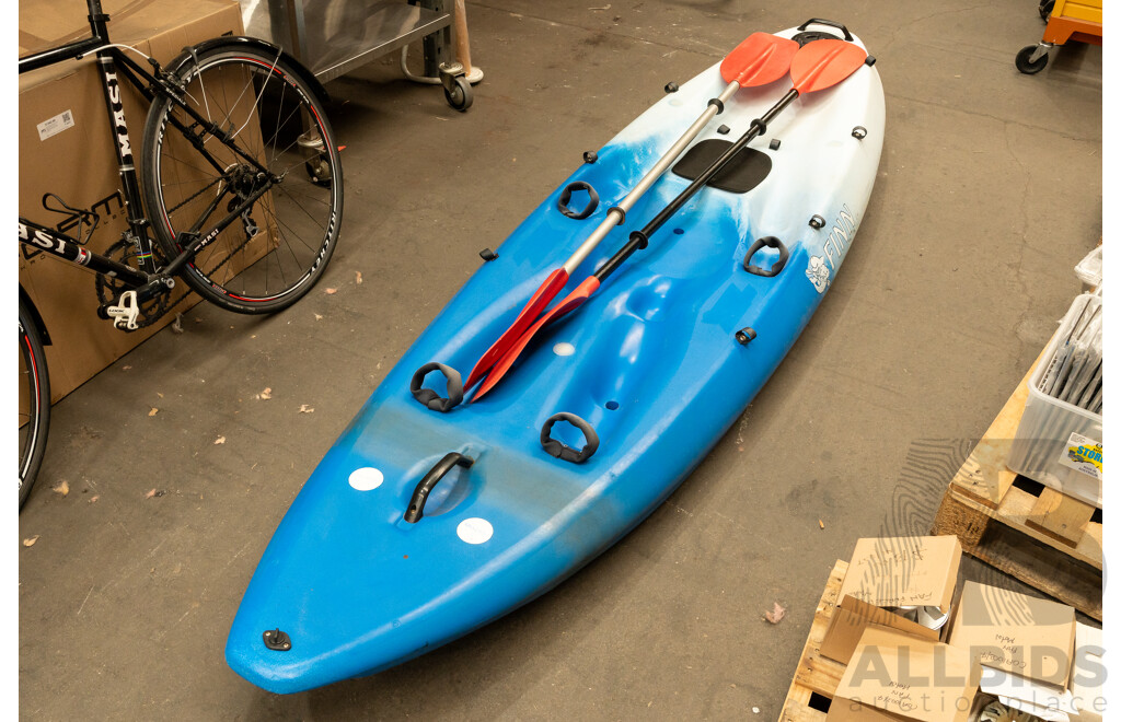 Dolfinn 2 Person Kayak with Paddles
