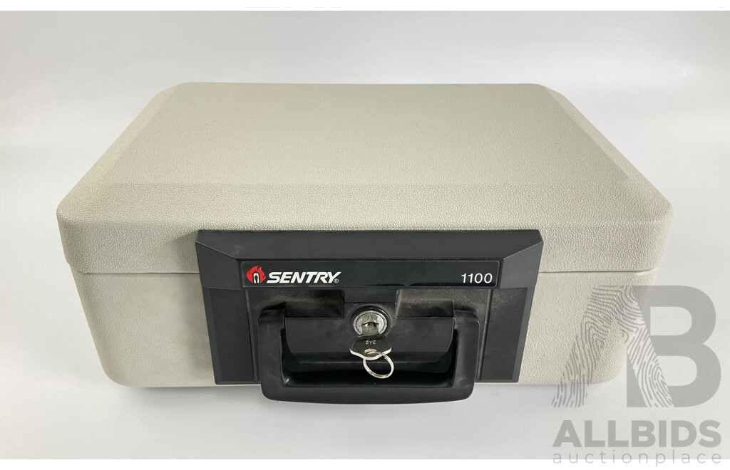 Sentry 1100 Lockable Fireproof Security Case