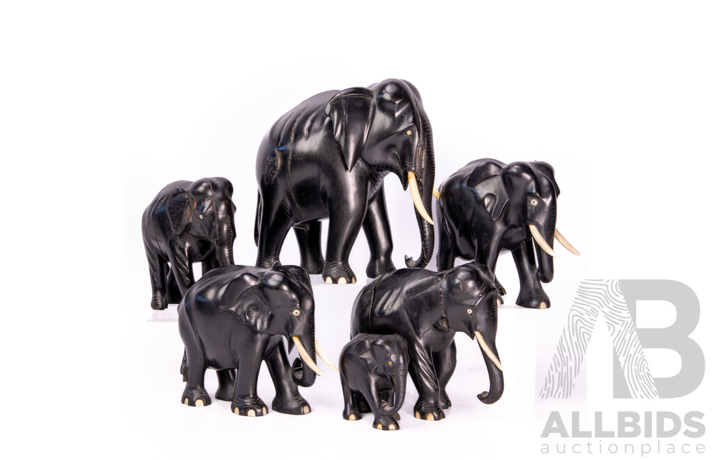 Collection Six Vintage Carved Ebony Elephants with Bone Tusk and Toe Detail