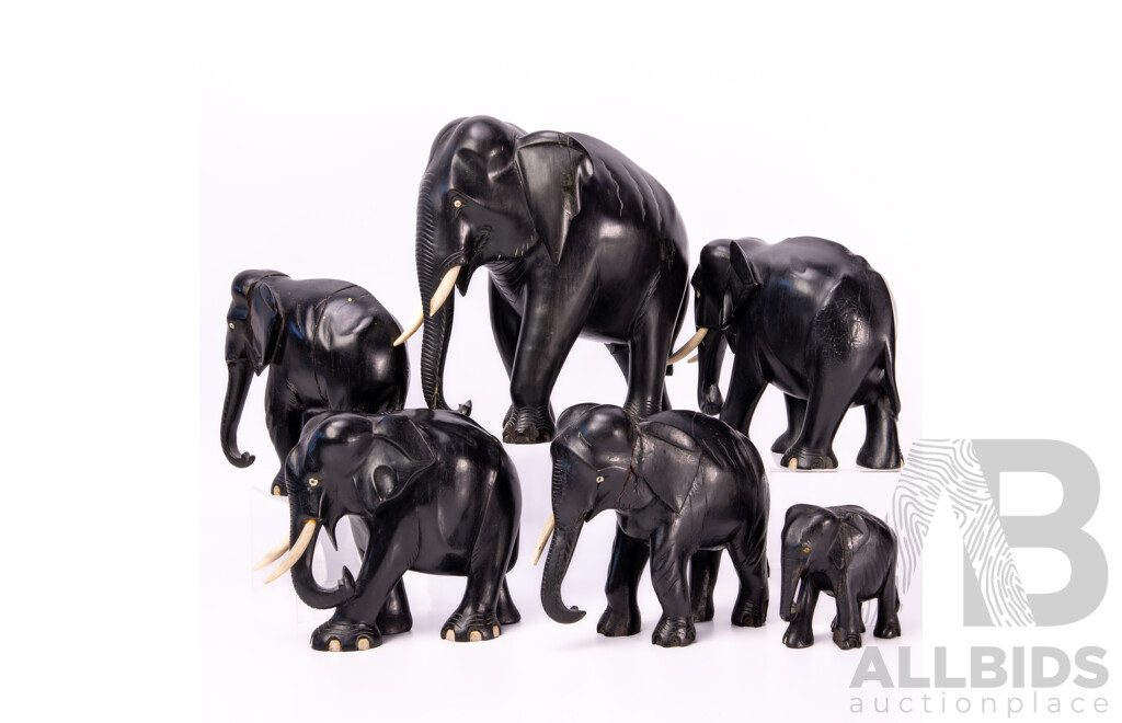 Collection Six Vintage Carved Ebony Elephants with Bone Tusk and Toe Detail