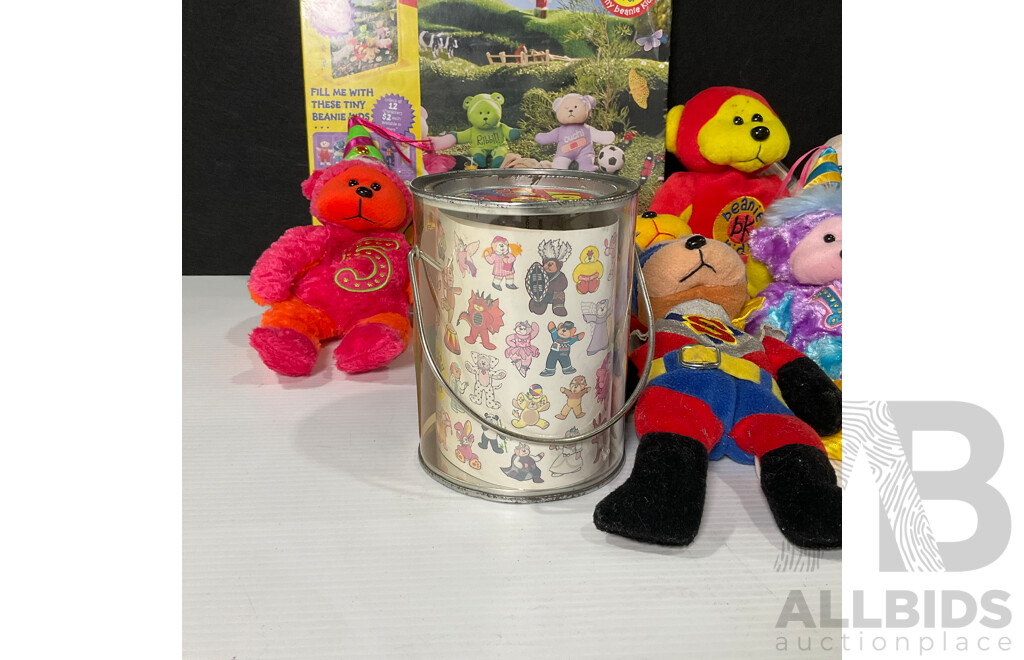 Collection of Beanie Kids Including Toys, Temporary Tattoos and Case