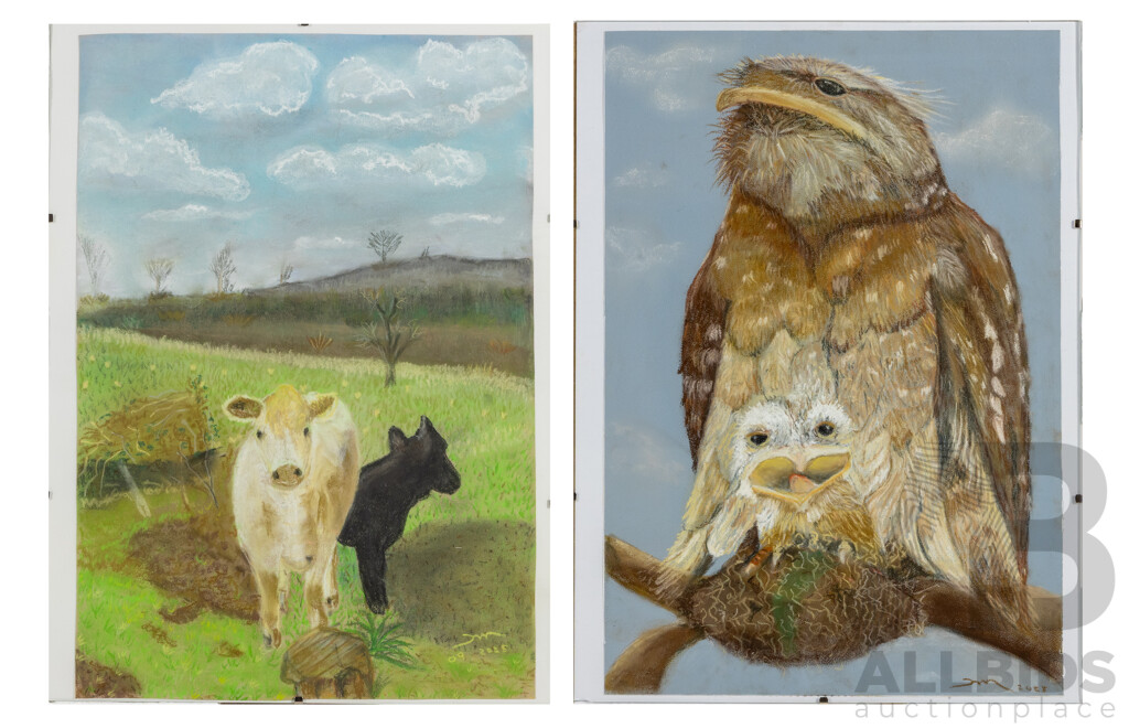 Martha Catalina Flores (20th Century, Mexican), Tawny Frogmouths & Grazing Cows, Wonderful Pair of Original Pastels on Paper, 40 X 30 Cm (frames) (2)