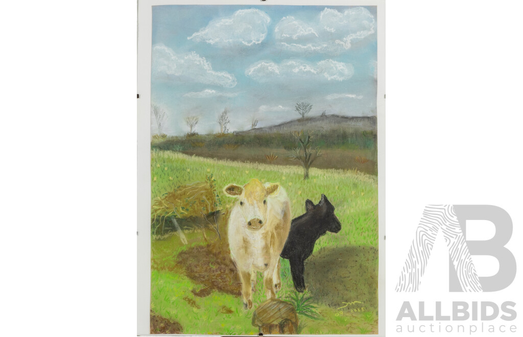 Martha Catalina Flores (20th Century, Mexican), Tawny Frogmouths & Grazing Cows, Wonderful Pair of Original Pastels on Paper, 40 X 30 Cm (frames) (2)