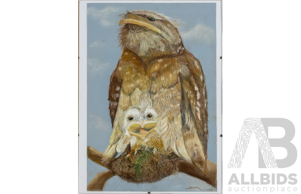 Martha Catalina Flores (20th Century, Mexican), Tawny Frogmouths & Grazing Cows, Wonderful Pair of Original Pastels on Paper, 40 X 30 Cm (frames) (2)