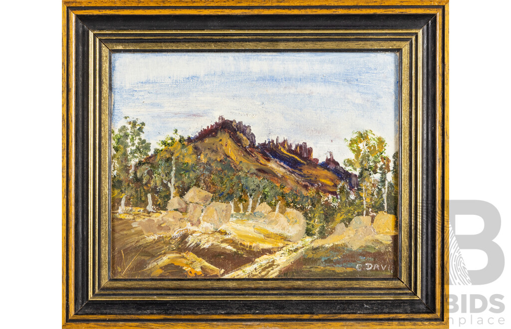 C.Davies, (20th Century, Australian), Mootwingee National Park, Original Vintage Oil on Canvas Board, 28H x 33W cm (frame)