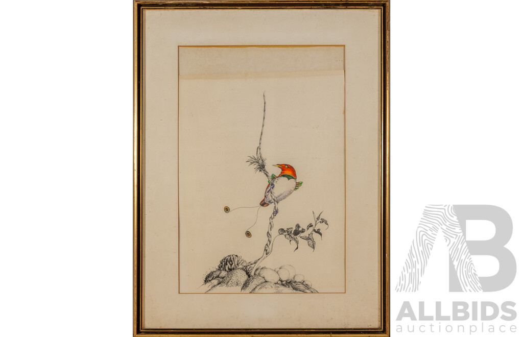 Signed Indistinctly (20th Century), Signed & Editioned Colour Lithographic Print, King Bird of Paradise, 74 x 56 cm (frame)