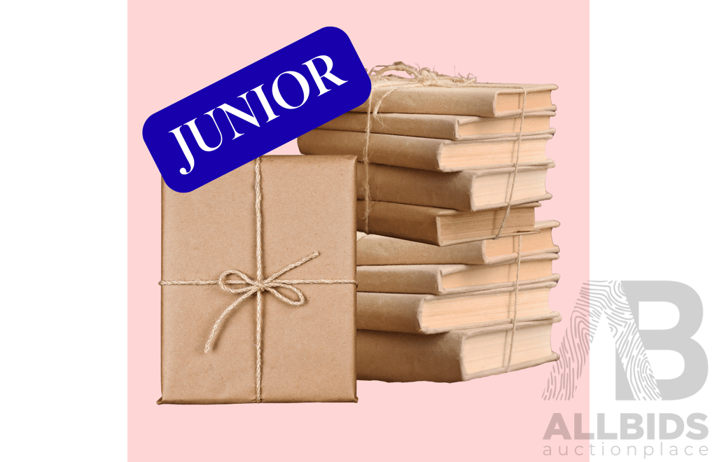 Children Mystery Book Pack (x10 Books)