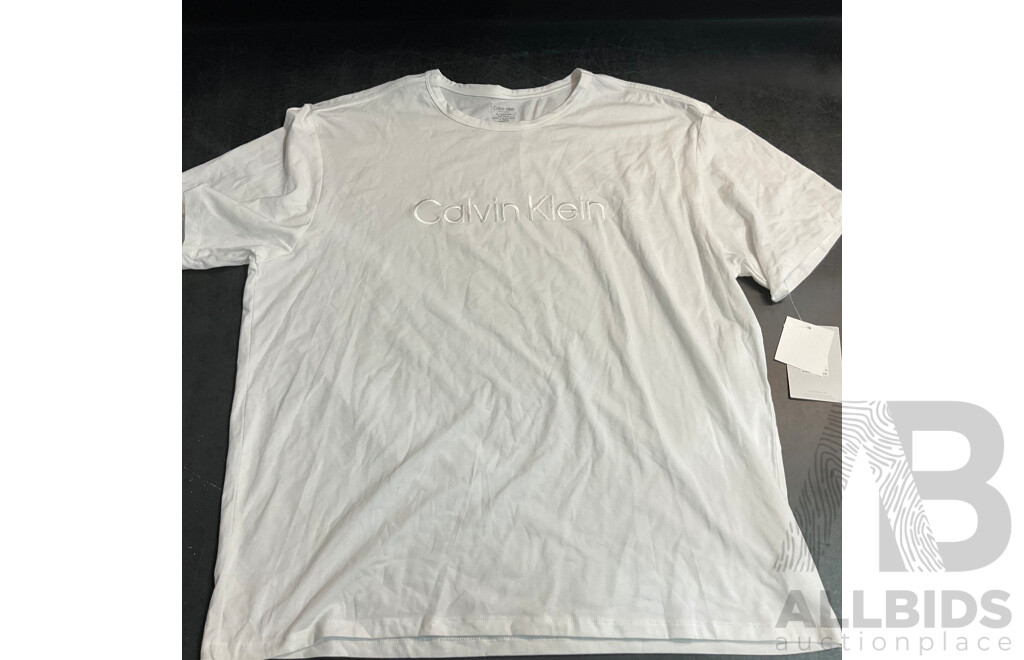 Calvin Klein Women's T-shirts (M/XL) & Ralph Lauren Size L White Skirt - Lot of 3