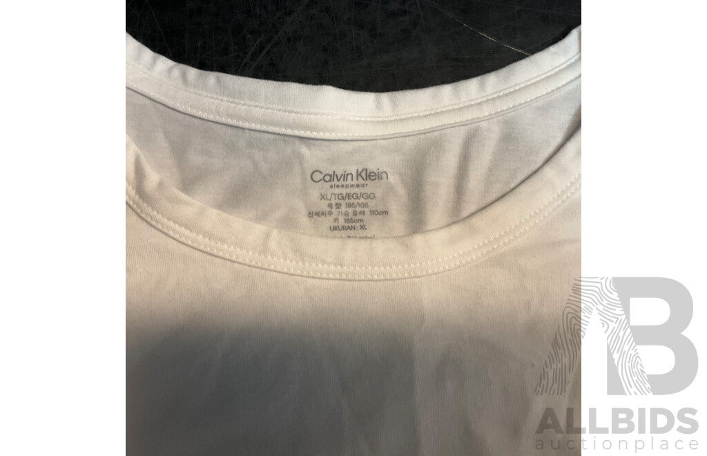 Calvin Klein Women's T-shirts (M/XL) & Ralph Lauren Size L White Skirt - Lot of 3