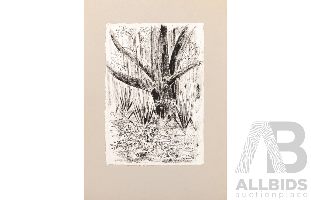 Katharine Nix, (20th Century, Australian, 1940-), Kioloa Beach (Bangalay), Wonderful Original Ink on Paper Drawing, 29 x 20 cm (image)