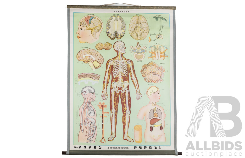 Vintage Japanese Neurological Systems Canvas Wall Hanger