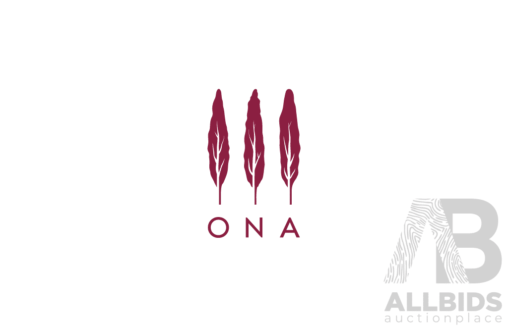 Ona Coffee- Coffee Art Mega Bundle - Valued at $1,211