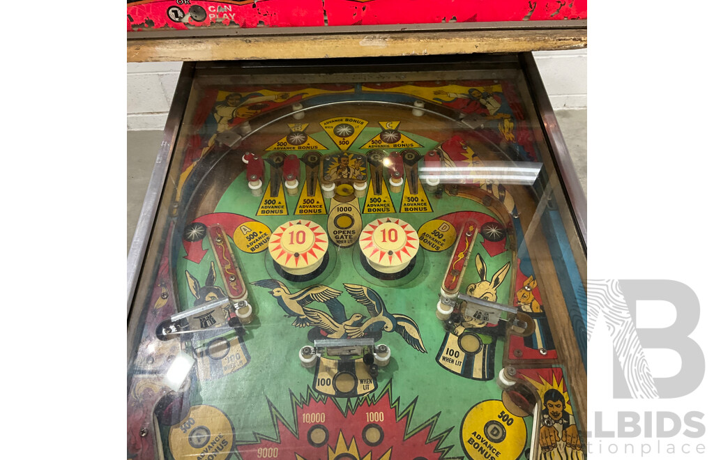Project - Hokus Pokus by Bally Pinball Machine