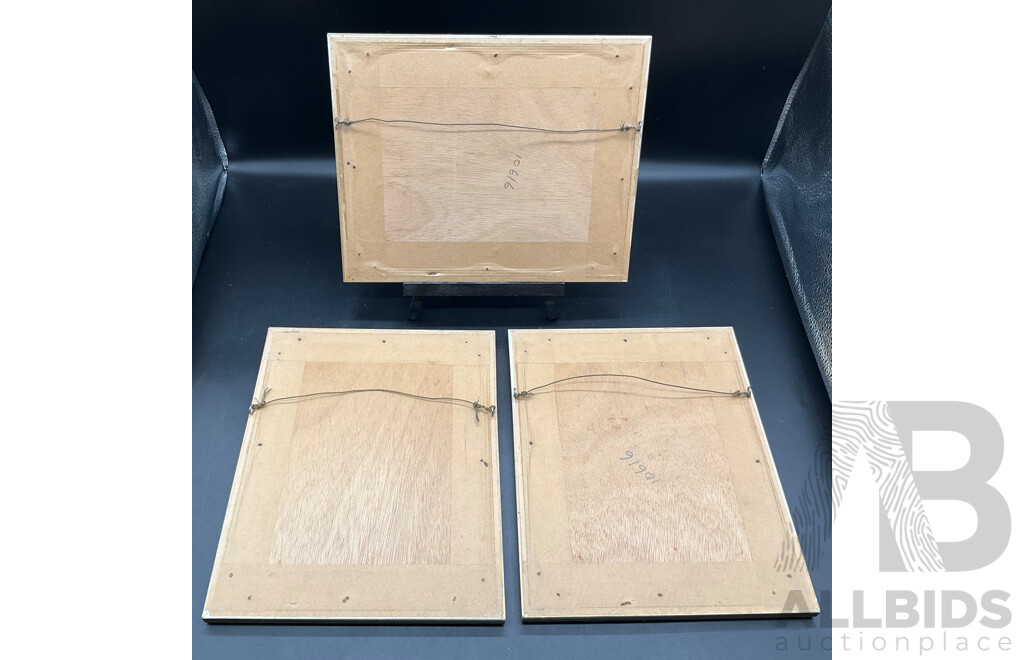 Set of 3 Framed Chinese Silk Painting