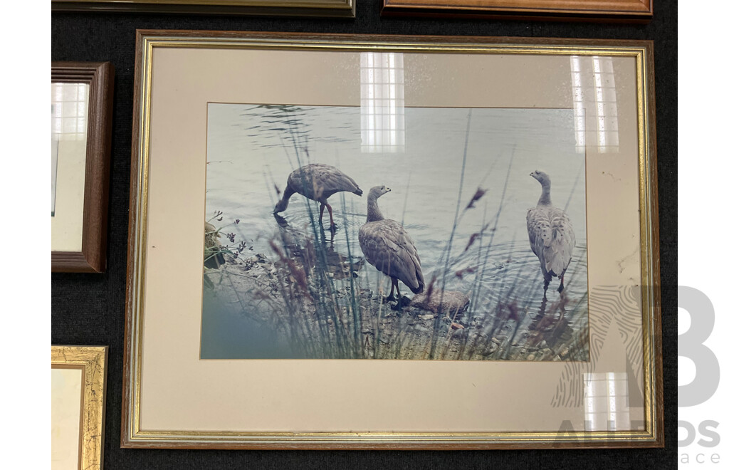 Kenneth Jack (1924-2006) ''Echuca Port'' Framed Print 68 X 95 Cm (Frame) and Assorted Prints and Paintings - Lot of 9