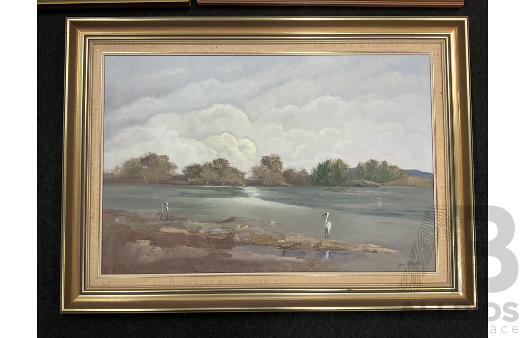 Jan Thicke (Uknown Artist), Oil on Board and Others - Lot of 6