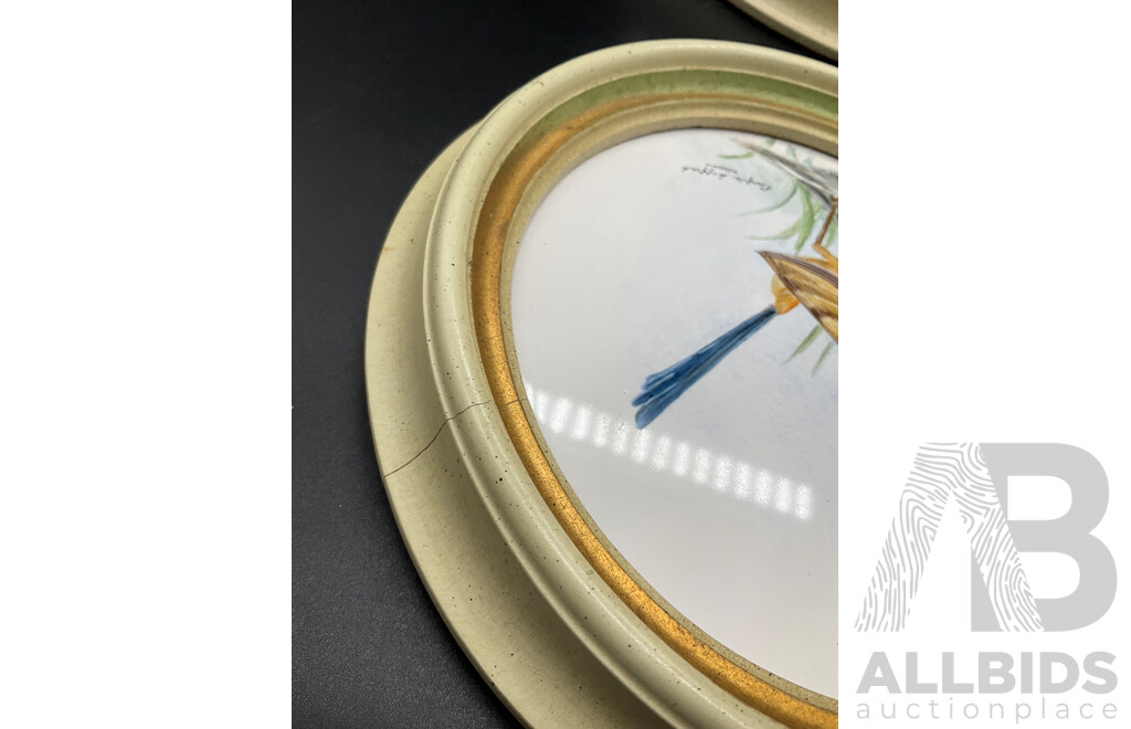 Set of 4 Bird on Branch Round Framed Art - Handpainted