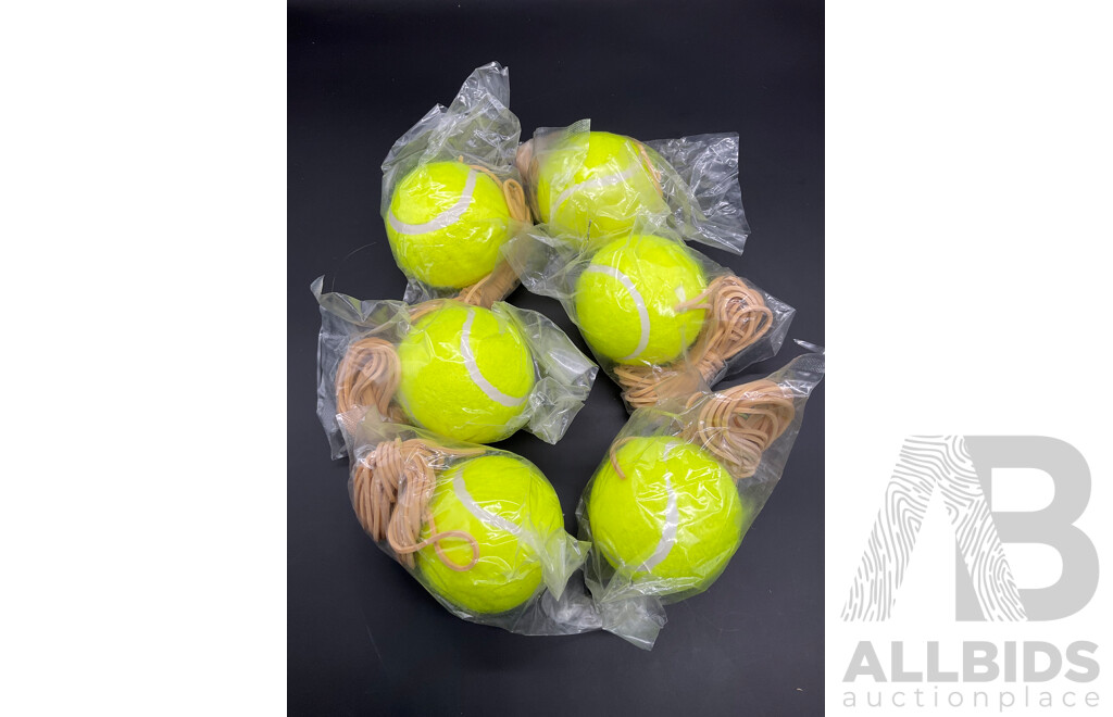 Collection of Various Sports Equipment for Golf, Tennis, Basketball, Netball, Including Various Balls, Velcro Golf Target Set and More - Lot of 24