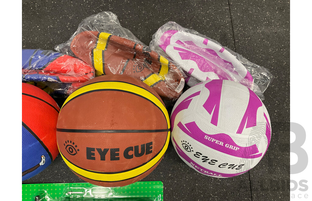Assorted Basketball, Netball and Volleyball Training Balls and Inflanting Pump - Lot of 9