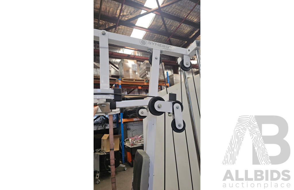 Synergy Fitness  50kg Stack Home Gym