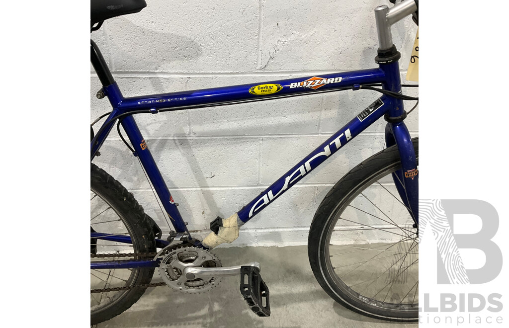AVANTI Sport MTB Series Bike  - Blue - Size 45