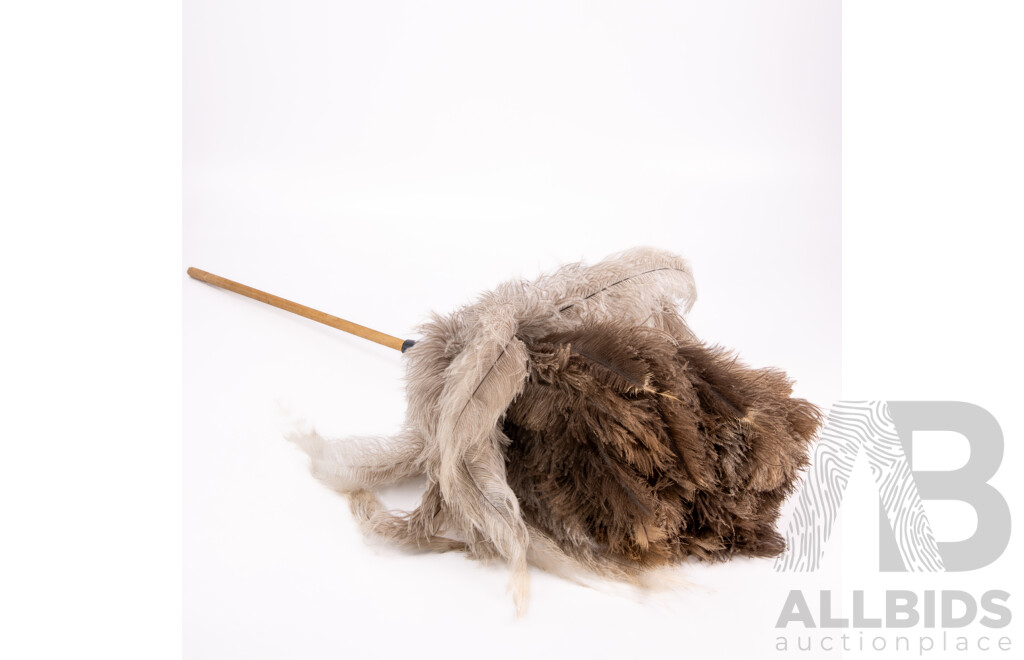 Vintage Ostrich Feather Duster