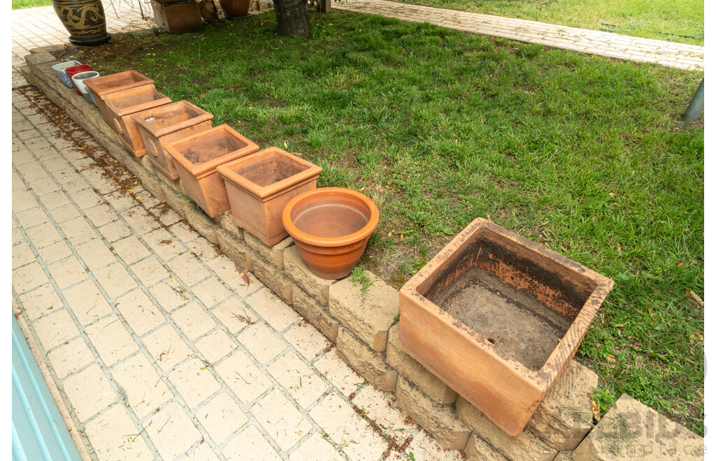 Large Collection of Terracotta Planters