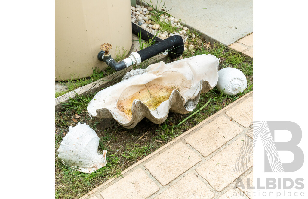 Large Giant Clam Shell with Two Seashells