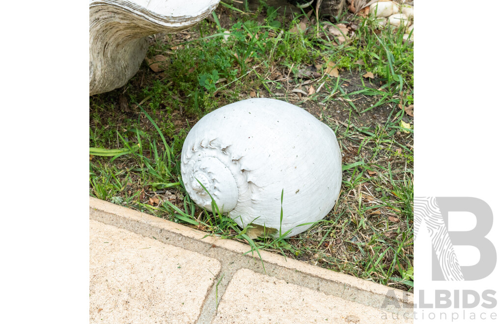 Large Giant Clam Shell with Two Seashells