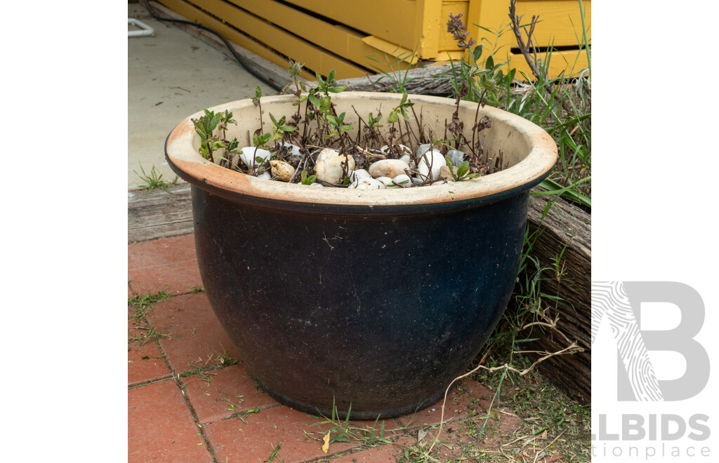 Large Glazed Planter with Mint