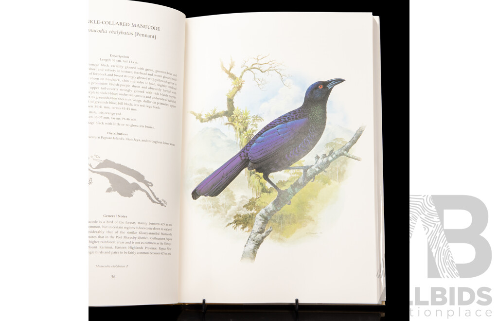 The Birds of Paradise and Bower Birds