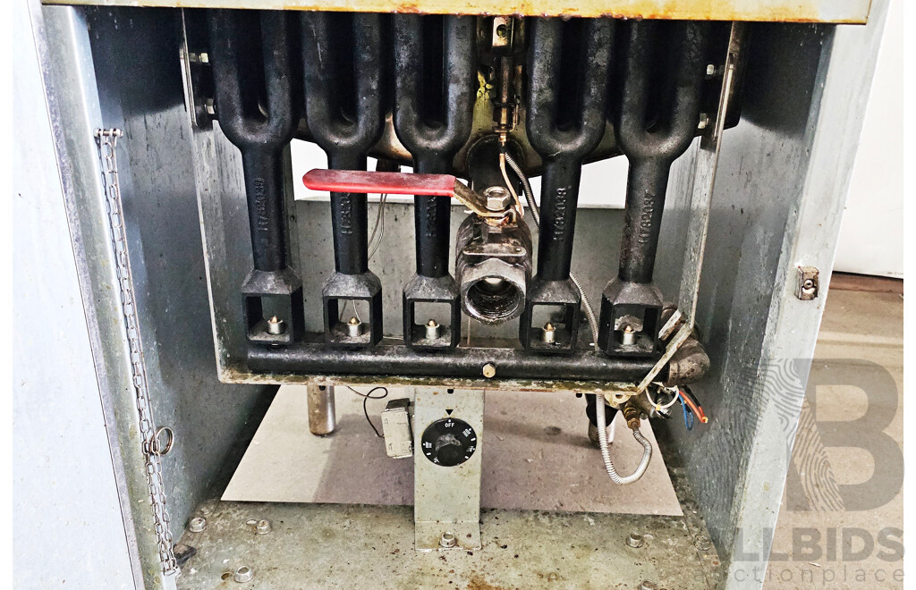 F.E.D Frymax 5 Burner Gas Fryer W/ Frying Baskets