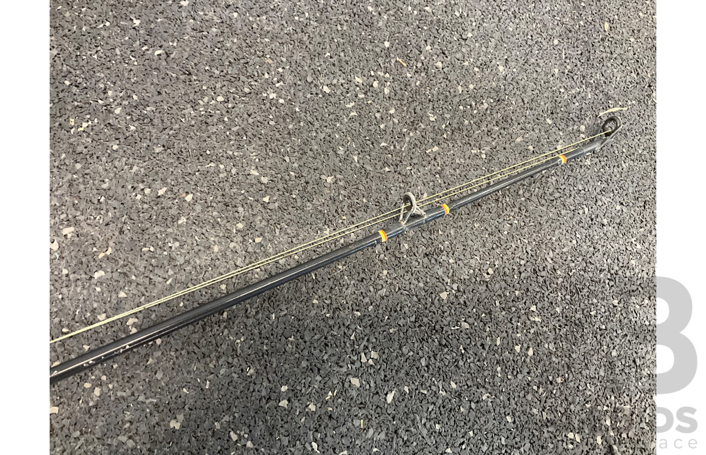 SILSTAR Big Water Fishing Rod with Big60 Reel