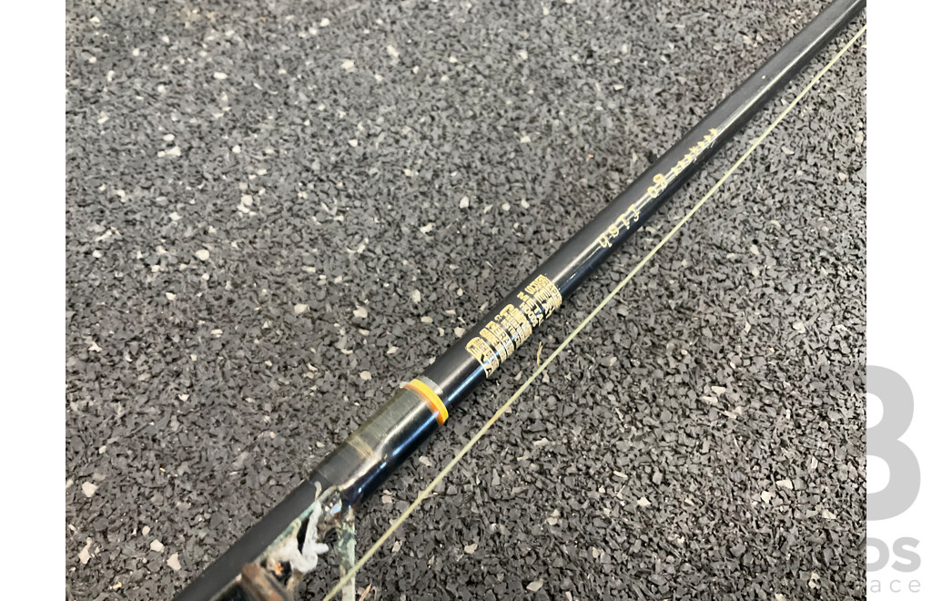 SILSTAR Big Water Fishing Rod with Big60 Reel