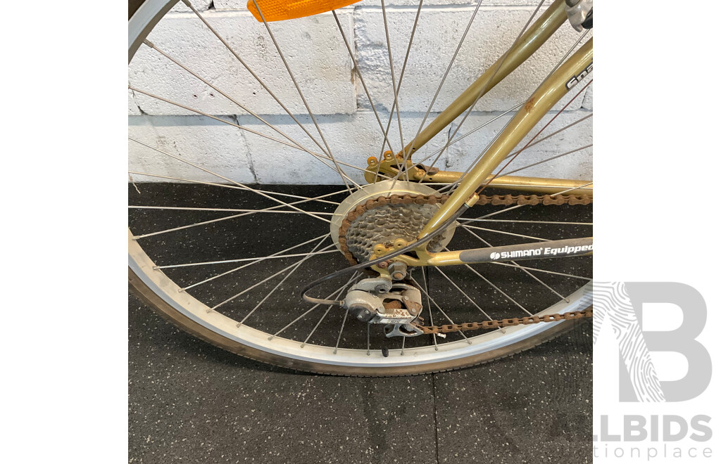 DiamondBack Bike - 46cm 18''