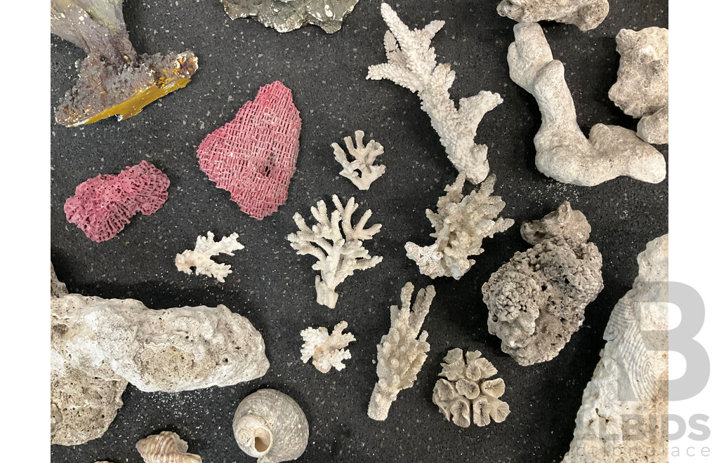 Assorted Aquarium and Fish Tank Supplies