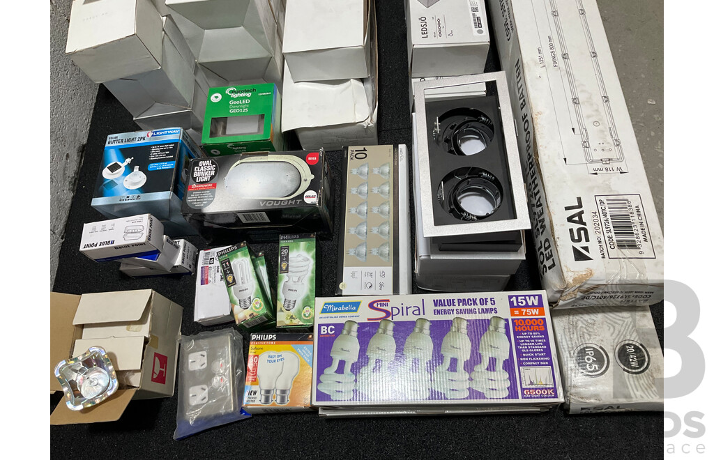 Assorted Light Fittings and Bulbs