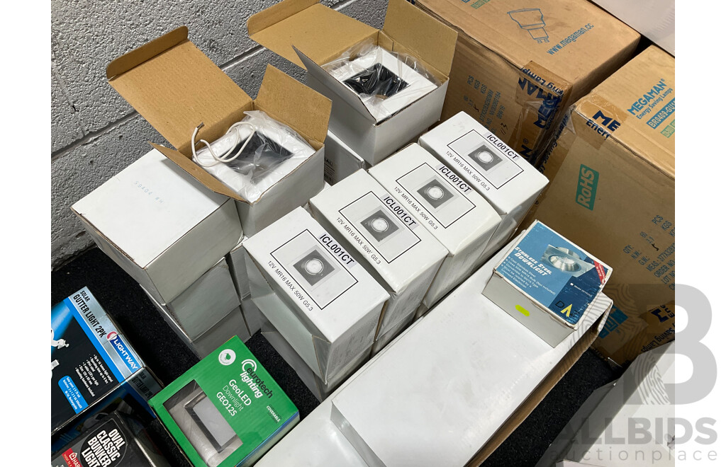 Assorted Light Fittings and Bulbs