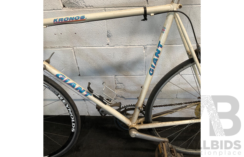 Vintage Giant Kronos Road Bike