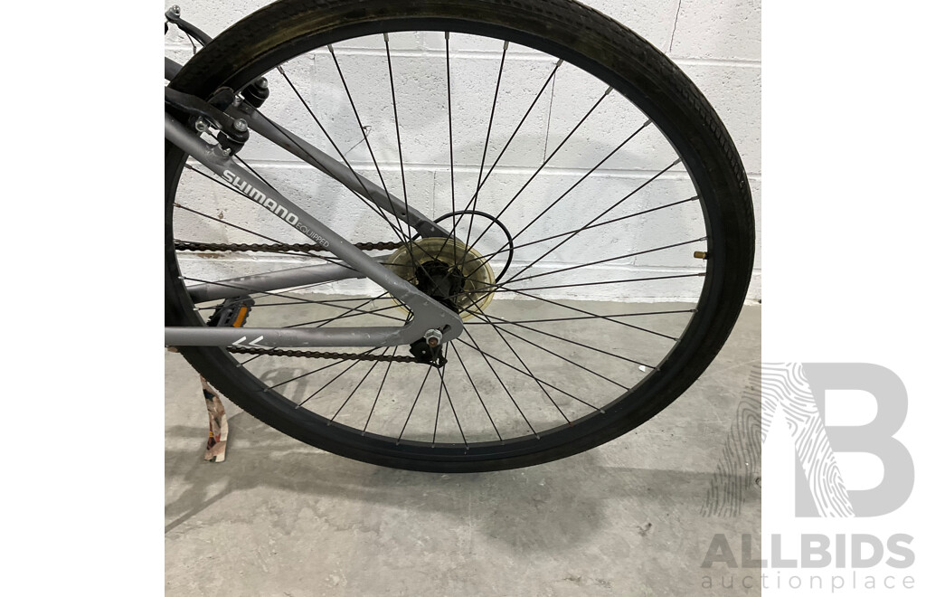 Montreal Bike - Sliver