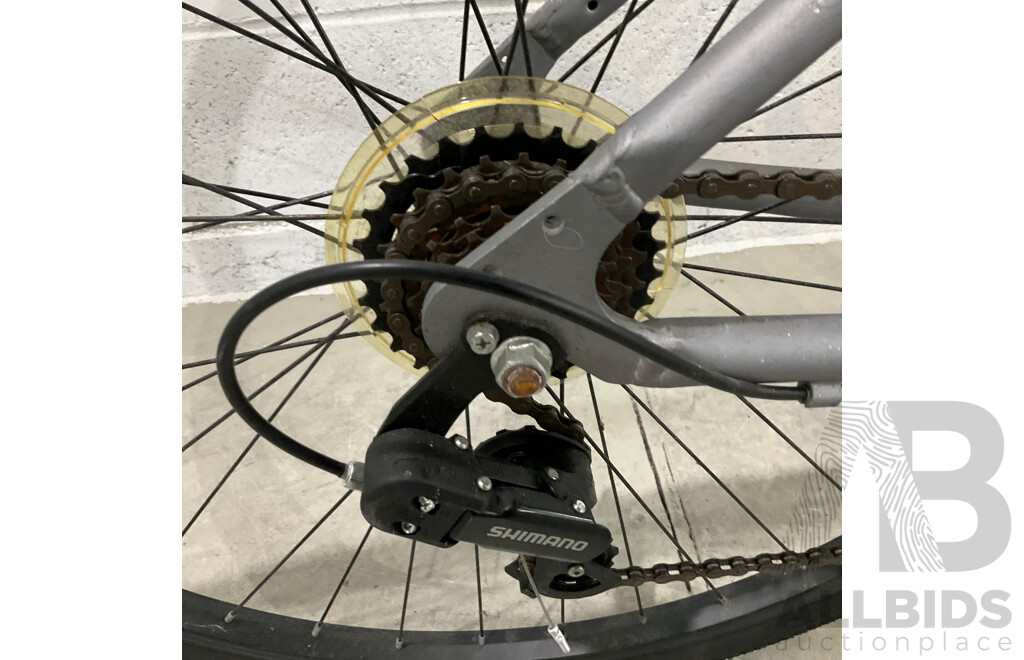 Montreal Bike - Sliver