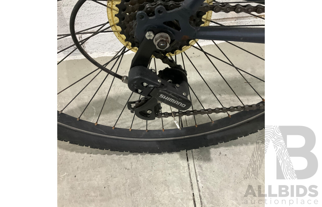 Everest 29 XCR Disc 21 Speed Mountain Bike