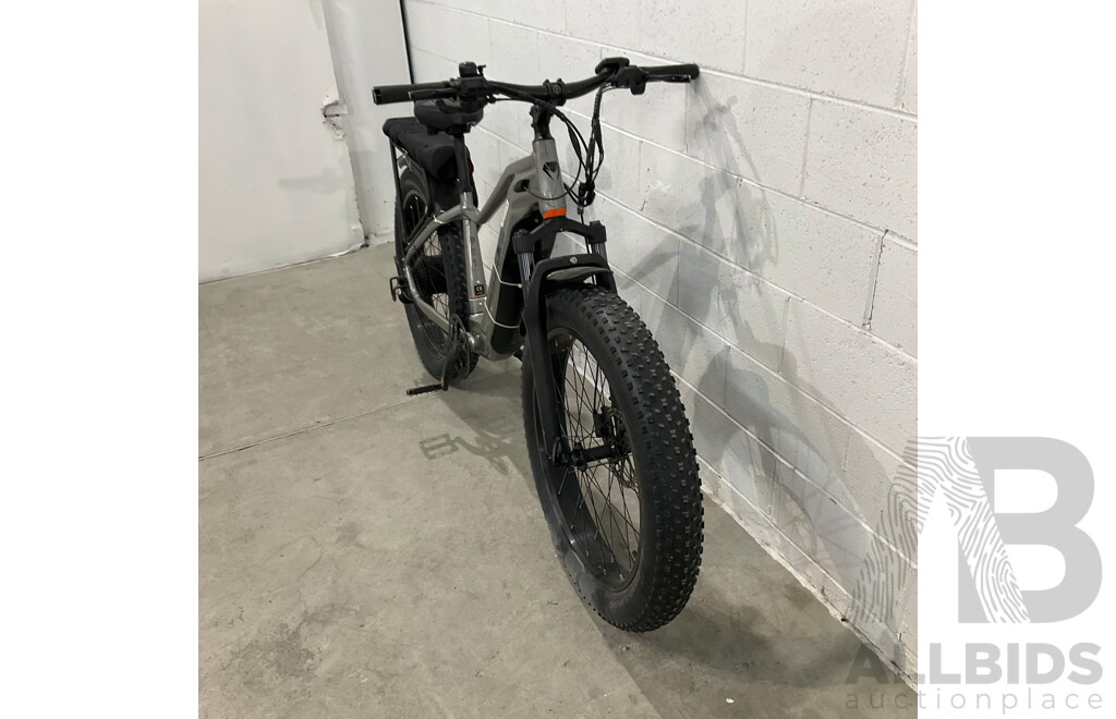 Mamba E-Bike