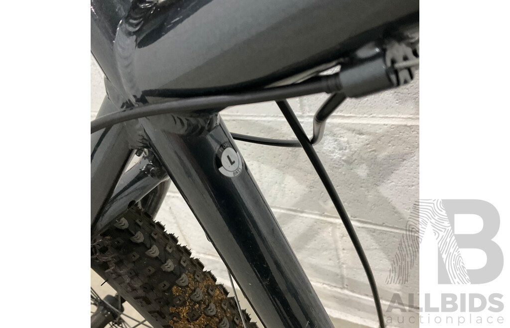 Pedal Ranger Mountain Bike - Size L