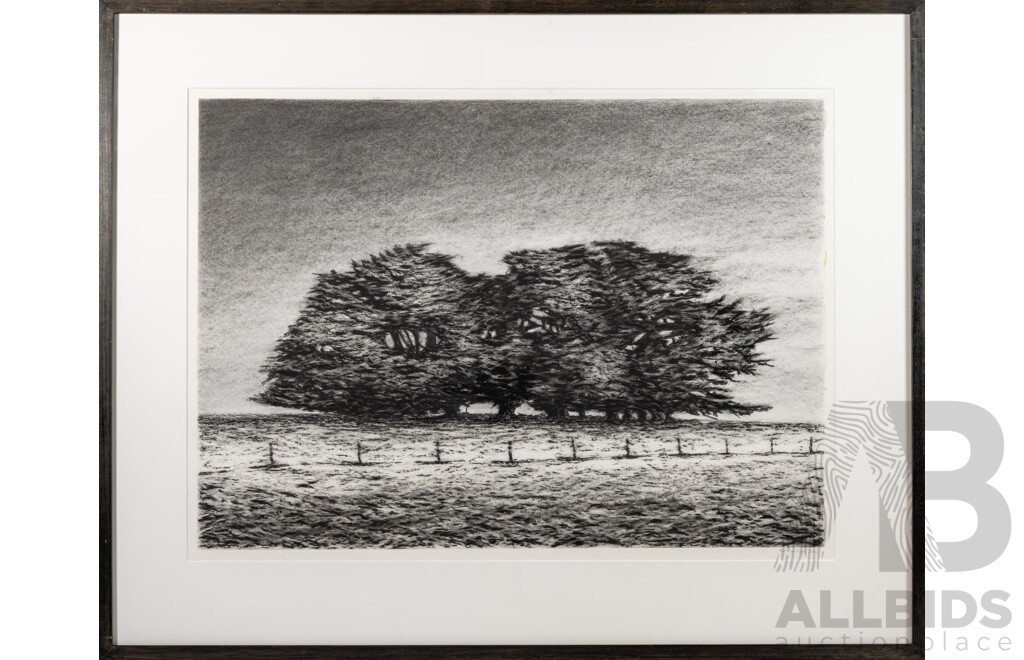 Kathryn Ryan, (20th Century, Australian, 1965-), Cypress Cluster (2012), Original Charcoal on Paper, 76 x 95 cm (frame)