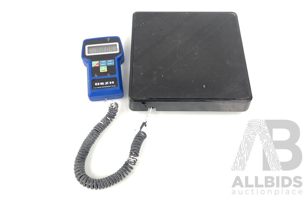 DSZH Portable Electronic Refrigerent Scales