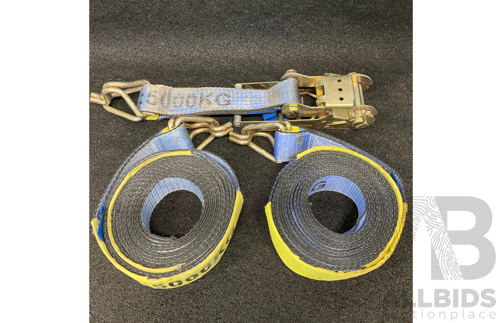 Beaver 9 Metres Ratchet and Strap (x2) - Capacity 5000KG