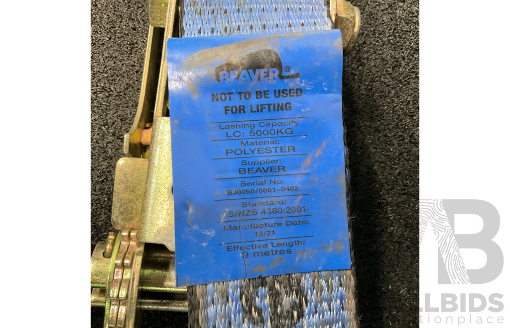 Beaver 9 Metres Ratchet and Strap (x2) - Capacity 5000KG