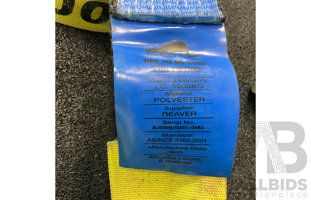 Beaver 9 Metres Ratchet and Strap (x2) - Capacity 5000KG