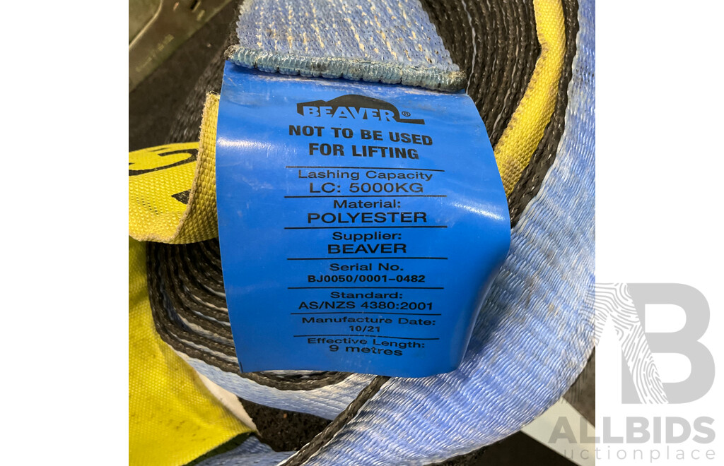 Beaver 9 Metres Ratchet and Strap (x2) - Capacity 5000KG